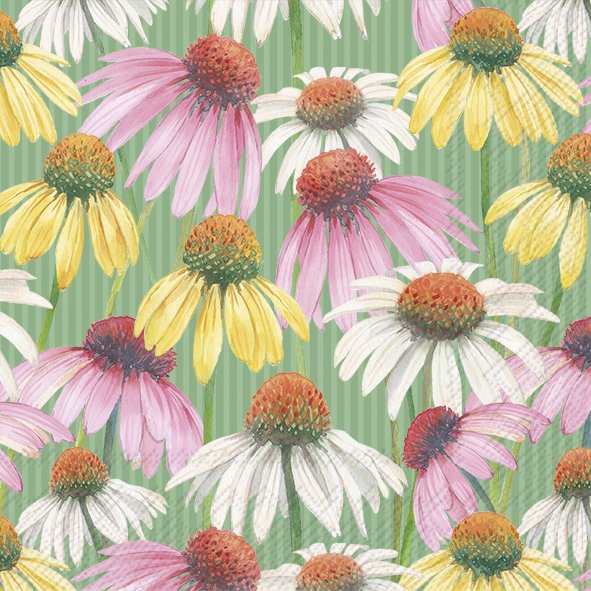 Pastel Garden Cream Dasies IHR Paper Cocktail Napkins 25 cm 20 pack 3 ply