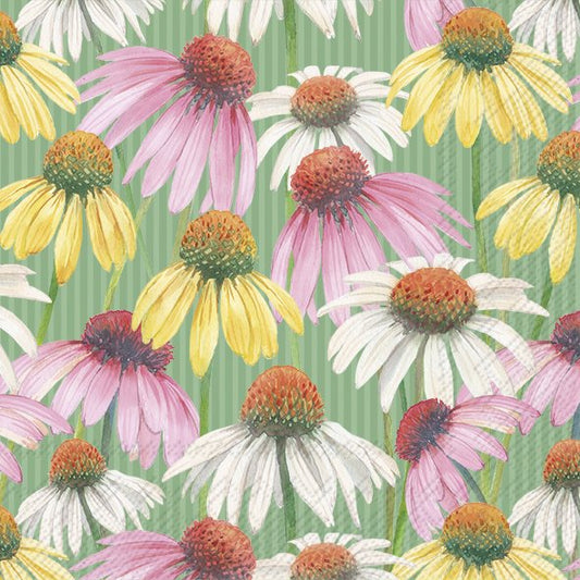 Pastel Garden Cream Dasies IHR Paper Cocktail Napkins 25 cm 20 pack 3 ply