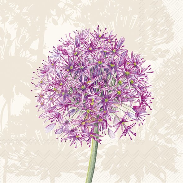 Allium Cream Flower IHR Paper Cocktail Napkins 25 cm square 3 ply 20 pack