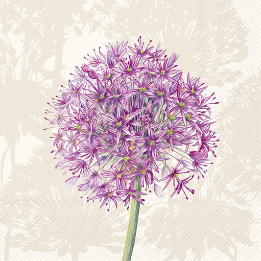 Allium Cream Flower IHR Paper Cocktail Napkins 25 cm square 3 ply 20 pack