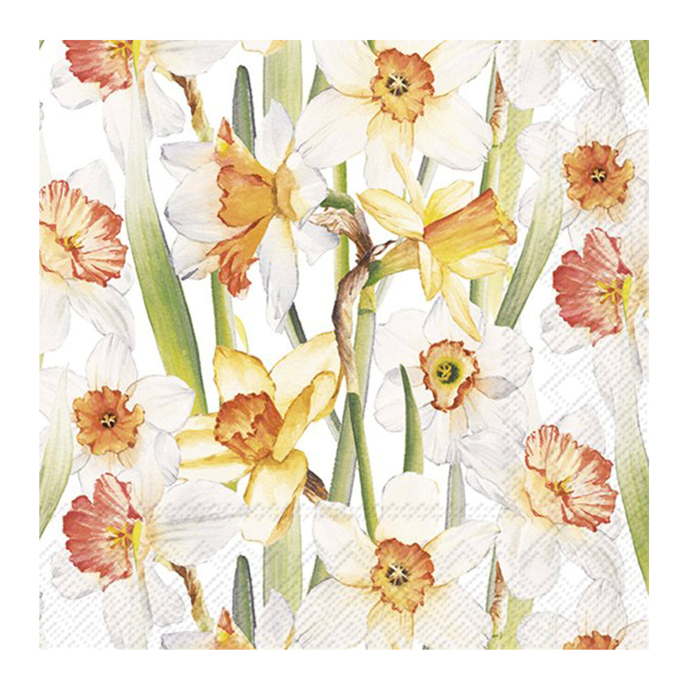 Daffodil Joy Cocktail IHR Paper Table Napkins 25 cm or 10 inches square 3 ply