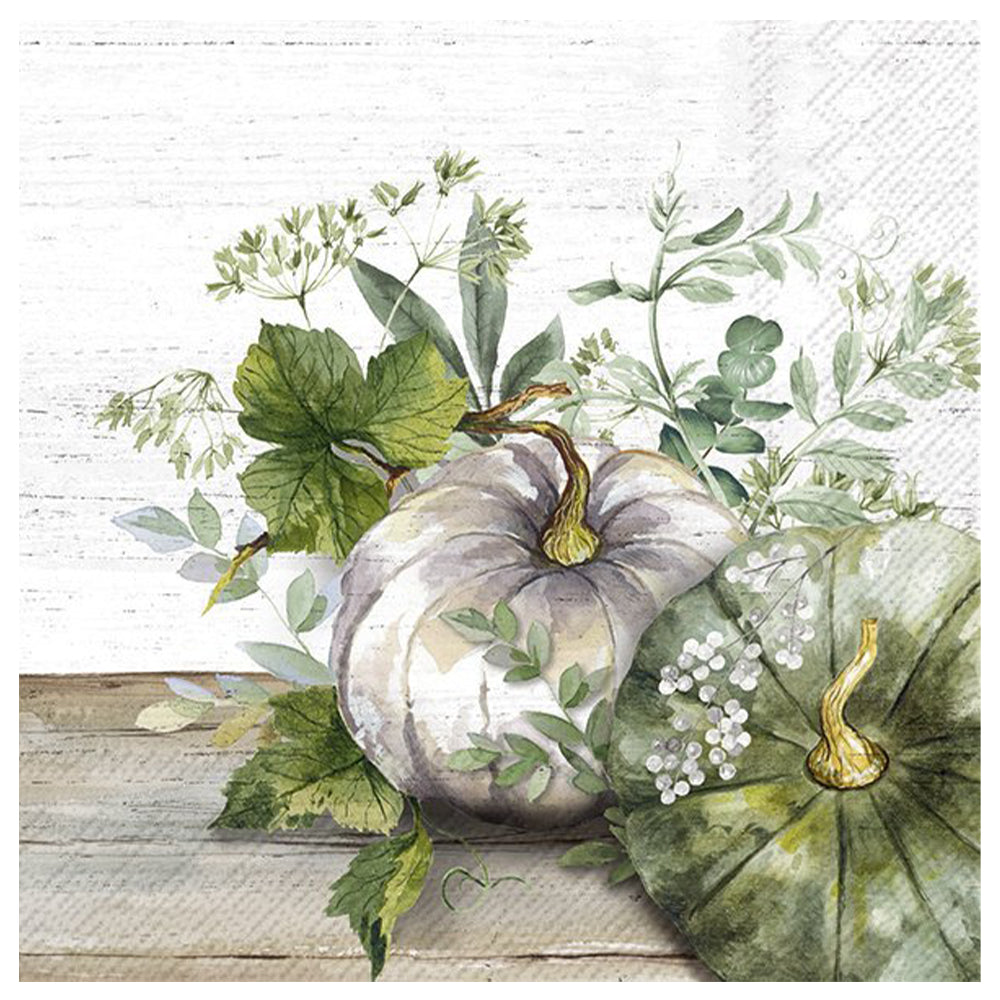 Green and White Pumpkin Cream IHR Paper Table Lunch Napkins 33 cm square 3 ply