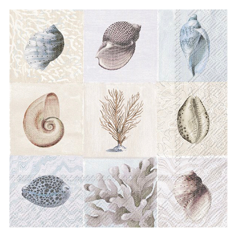 Beautiful Shells IHR Paper Table Napkins 33 cm square 3 ply lunch napkins