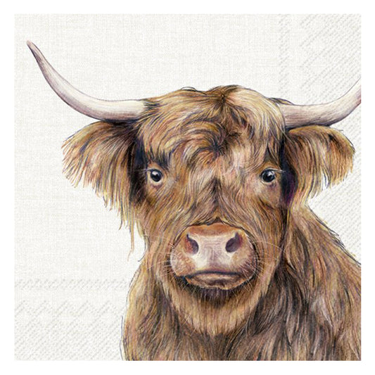 Farm Highland Cattle Cow IHR Paper Table Napkins 33 cm square 3 ply lunch napkins