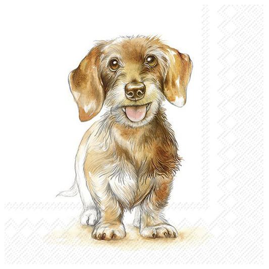 Fritz Dog Daschund IHR Paper Table Lunch Napkins 33 cm square 3 ply