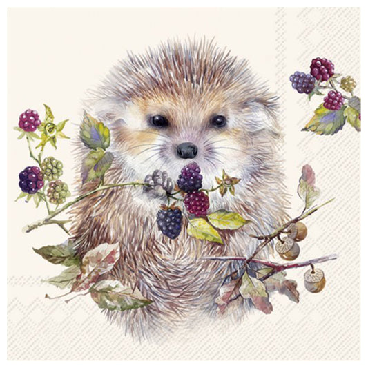 Forest Hedgehog Berries Cream IHR Paper Table Lunch Napkins 33 cm square 3 ply