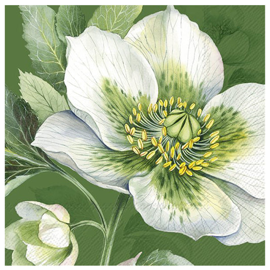Elegant Christmas Rose Green IHR Paper Table Lunch Napkins 33 cm square 3 ply