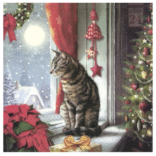 Silent Moment Christmas Cat IHR Paper Table Lunch Napkins 33 cm square 3 ply