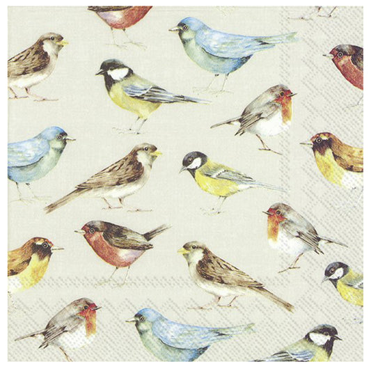 The Birds Cream IHR Paper Table Lunch Napkins 33 cm square 3 ply