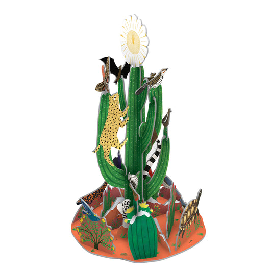 Christmas Cactus Pop and Slot Advent Calendar Roger la Borde
