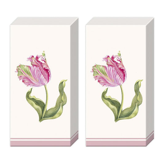 Driselle Cream Tulip IHR Pocket Tissues 2 packs of 10 Tissues 20cm sq