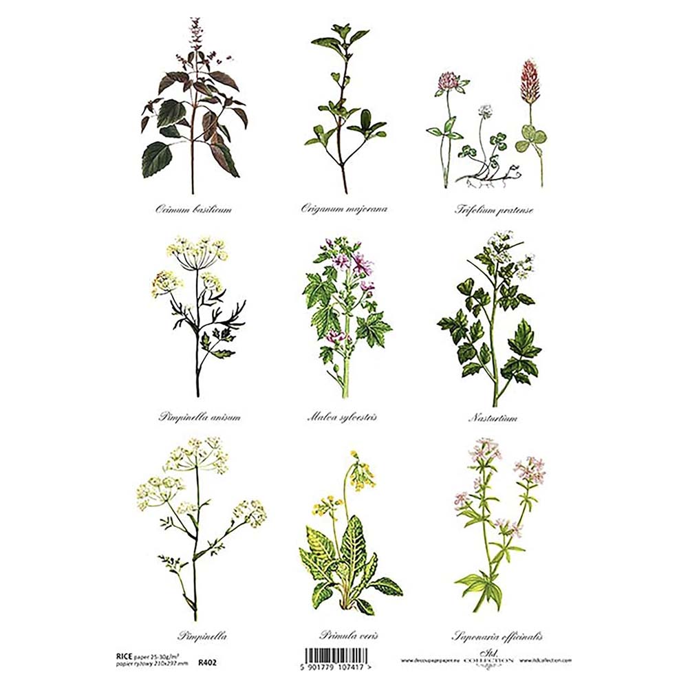 Botanical Rice Paper Shade Cream Botanical Plants A4 ITD Rice Paper for Decoupage – Most Delicious ...