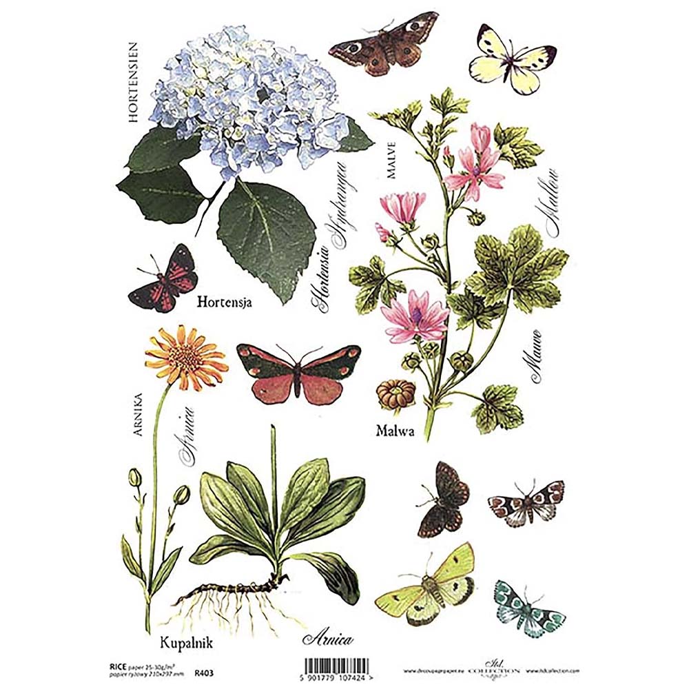 Multi Butterflies Botanical Plants A4 ITD Rice Paper for Decoupage