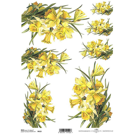 Yellow Daffodil A4 ITD Rice Paper for Decoupage