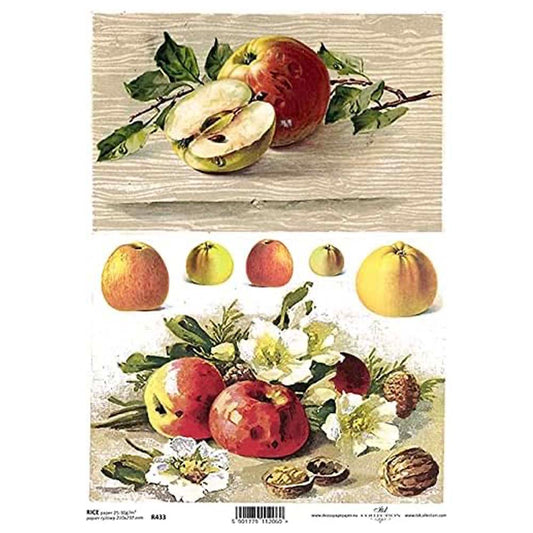 Apples, Sliced Apples, Chestnuts and Flowers A4 ITD Rice Paper for Decoupage