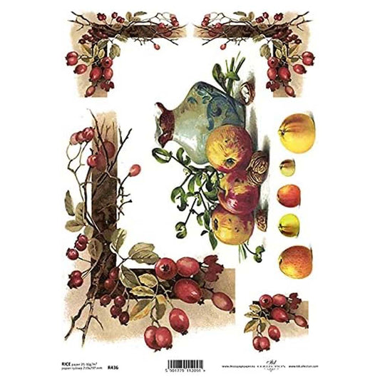 Frames and Jugs with Autumn Fruits A4 ITD Rice Paper for Decoupage