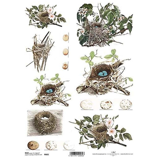 Birds Nests Rice Paper A4 ITD Rice Paper for Decoupage