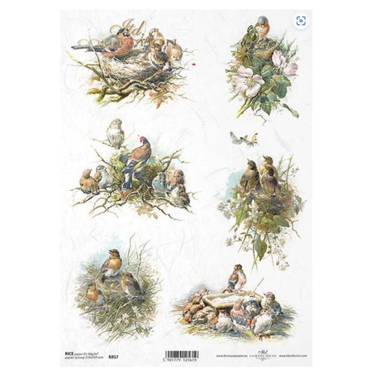 Birds Rice Paper A4 ITD Rice Paper for Decoupage
