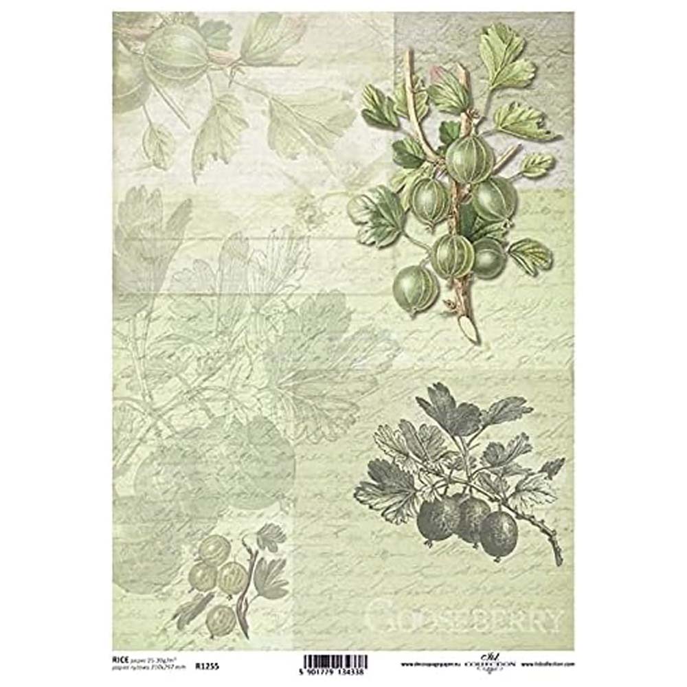Gooseberries with Green Inscription Background Rice Paper A4 ITD Rice Paper for Decoupage