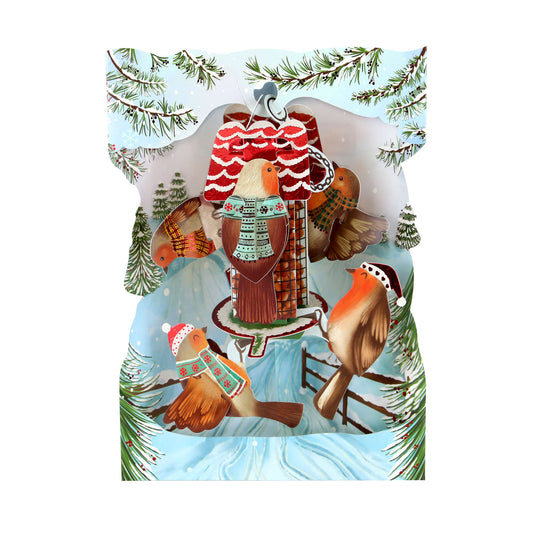 Robins  - 14.5 x 19.5 x 12cm - 3 D  Pop Up Swing Christmas Card Santoro