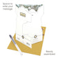 Robins  - 14.5 x 19.5 x 12cm - 3 D  Pop Up Swing Christmas Card Santoro