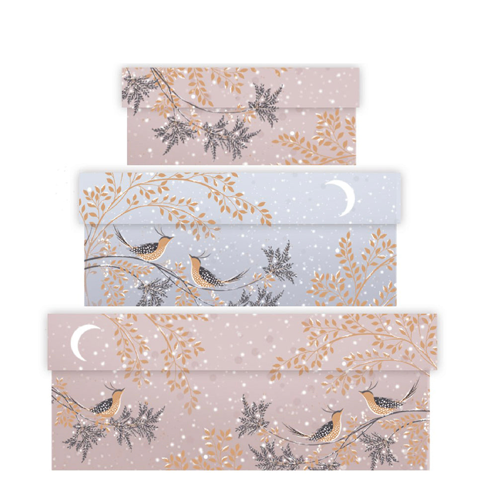 Sara Miller Winter Snow Nest of 3 Beautiful Gift Boxes