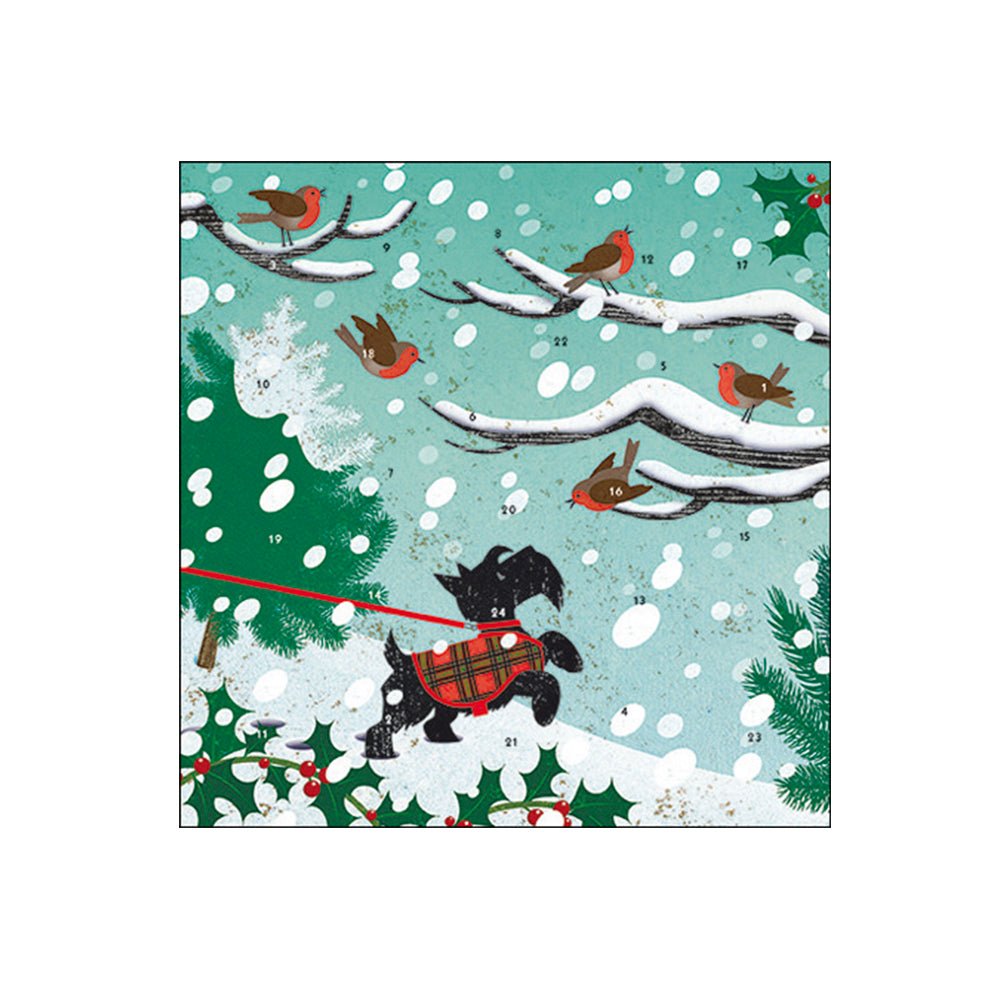 Snow Scottie Dog and Robins Advent Calendar Card 160 x 160 mm Caltime with envelope