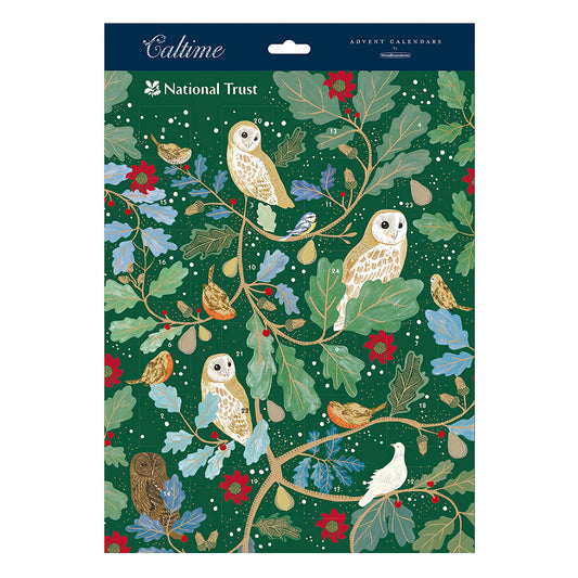 National Trust Owls in Winter 315 x 410 mm Caltime Advent Calendar