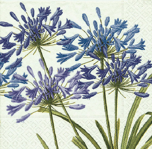 Agapanthus Purple Blue Flowers Caspari Paper Cocktail Napkins 25 cm square 3 ply 20 pack