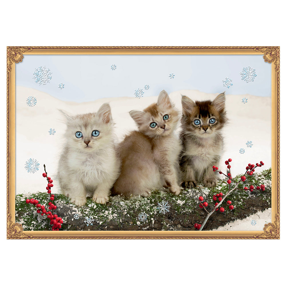 Kittens in the Snow Coppenrath Advent Calendar 42 x 29.7 cm