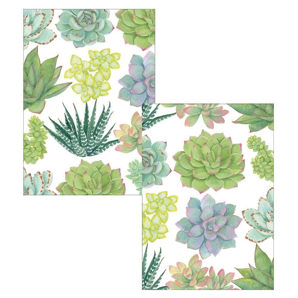 Succulents by Janine Moore Pack of 8 Notelets Notecards from Caspari