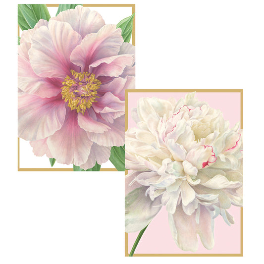 Peony by Karen Klugein Pack of 8 Notelets Notecards from Caspari