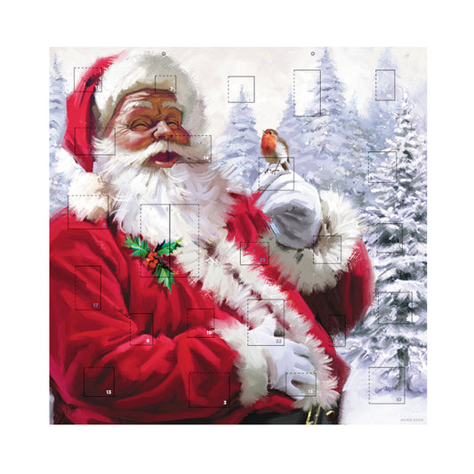 Festive Friends Father Christmas and Robin Advent Calendar 230 x 230 mm