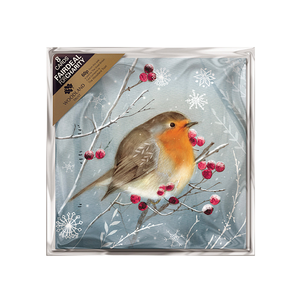 Robins and Berries 8 Pack Charity Christmas Cards 160 x 160 mm