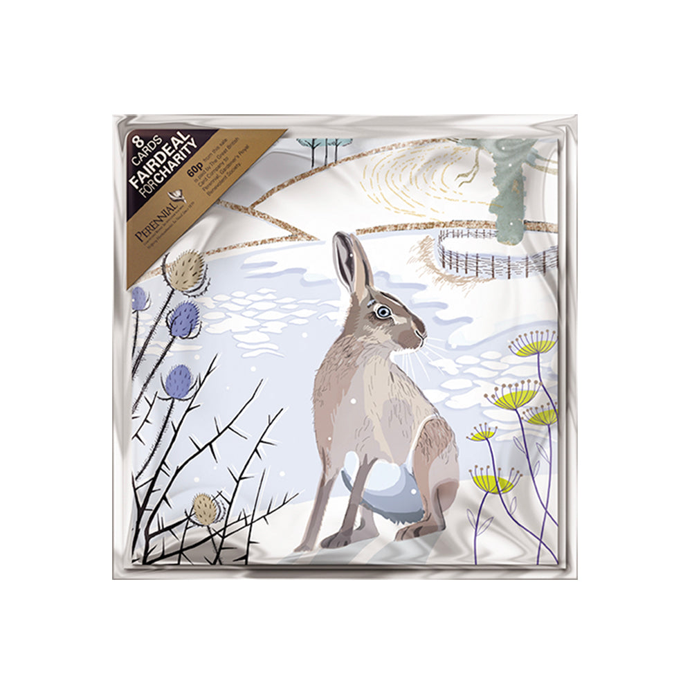 Hare By Frozen Pond 8 Pack Charity Christmas Cards 160 x 160 mm
