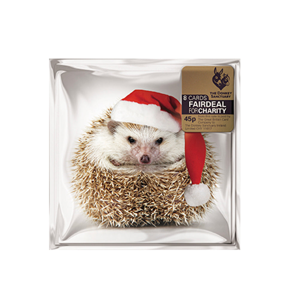 Happy Hedgehog 8 Charity Christmas Cards 100mm x 100mm