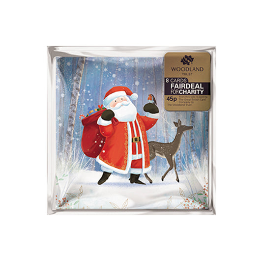 Father Christmas Santa and Friends 8 Charity Christmas Cards 100mm x 100mm
