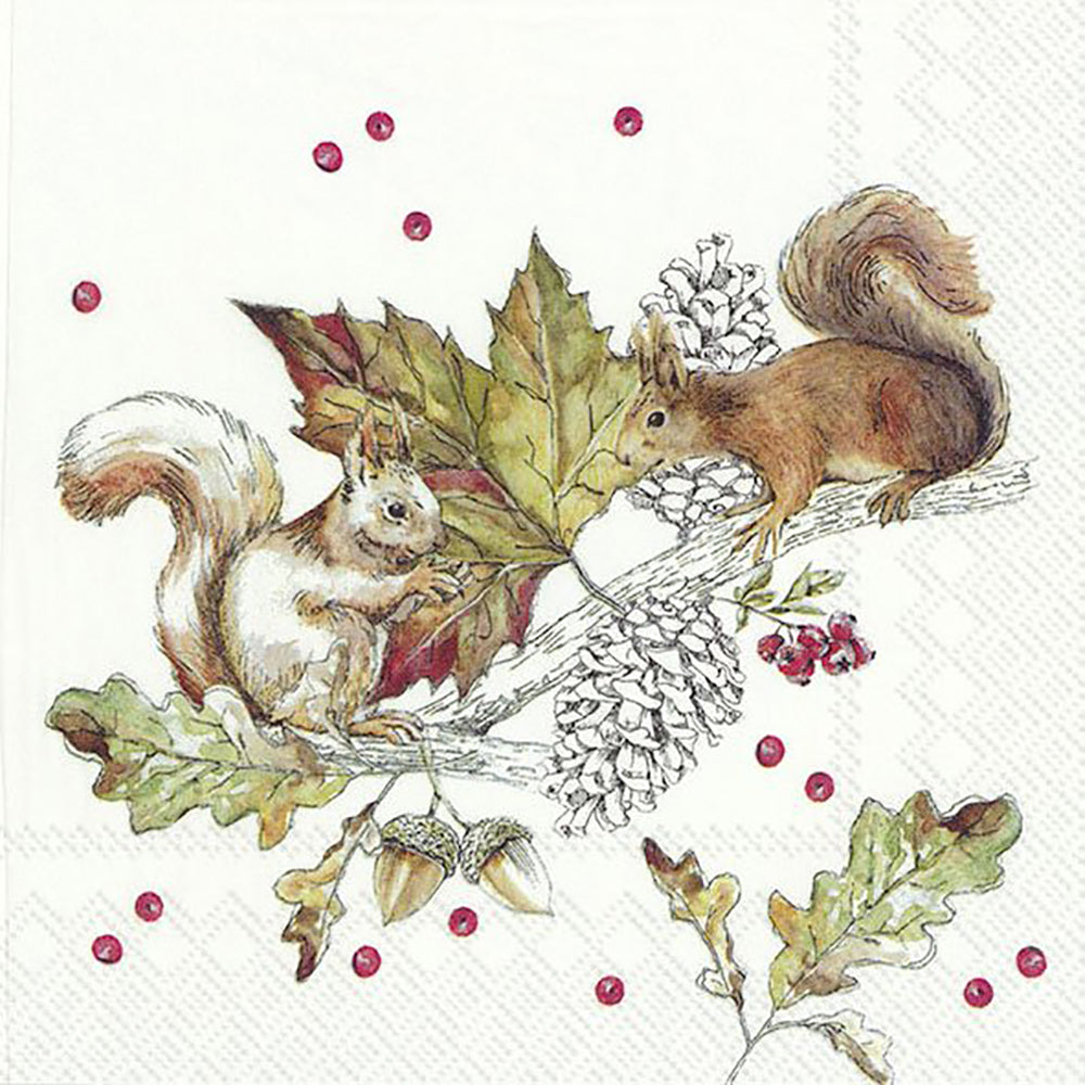 SQUIRRELS AND BERRIES IHR Paper Cocktail Napkins 25 cm square 3 ply 20 pack