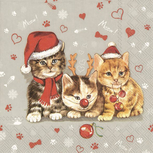 Cats Celebration, grey Christmas Kittens IHR Paper Cocktail Napkins 25 cm square 3 ply 20 pack