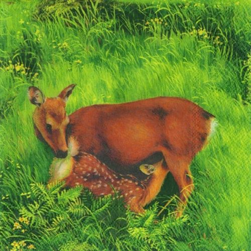 Deer Family Green IHR Paper Lunch Napkins 33 cm sq 3 ply 20 pack