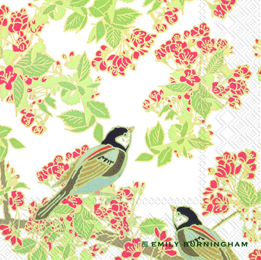 BIRD IN BLOSSOM Green Red Flowers IHR Paper Lunch Napkins 33 cm sq 3 ply 20 pack