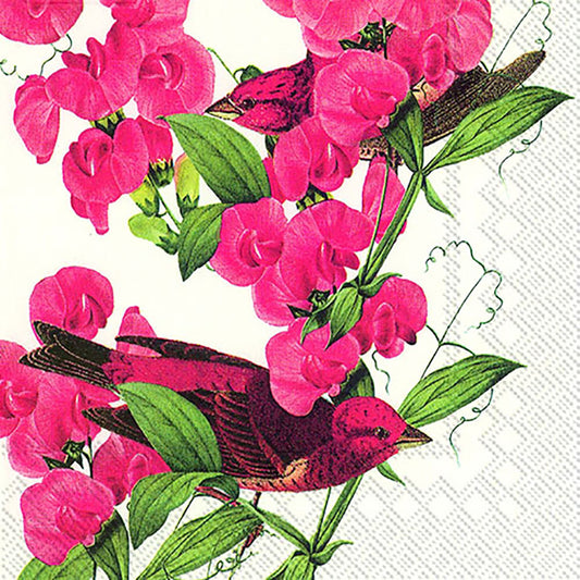 PURPLEFINCH White Pink Flowers Bird IHR Paper Lunch Napkins 33 cm sq 3 ply 20 pack