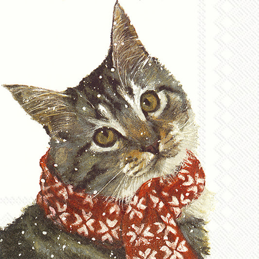 KITTY Cat Scarf Snow IHR Paper Lunch Napkins 33 cm sq 3 ply 20 pack