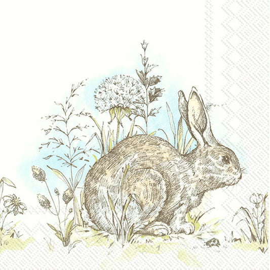 EASTER MORNING White Rabbit IHR Paper Lunch Napkins 33 cm sq 3 ply 20 pack