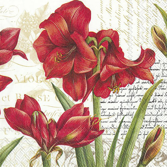 LA BEAUTÉ ROUGE White Red Flowers IHR Paper Lunch Napkins 33 cm sq 3 ply 20 pack