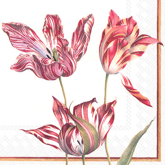 THREE TULIPS White Red Flowers IHR Paper Lunch Napkins 33 cm sq 3 ply 20 pack