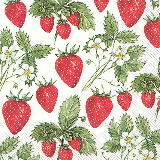 DELICIOUS STRAWBERRIES White IHR Paper Lunch Napkins 33 cm sq 3 ply 20 pack