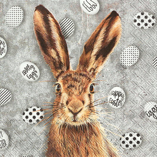 OH MY RABBIT Grey Easter Eggs IHR Paper Lunch Napkins 33 cm sq 3 ply 20 pack