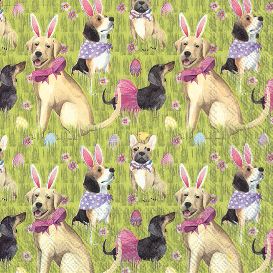 BUNNY DOGS Green Tutus Rabbits IHR Paper Lunch Napkins 33 cm sq 3 ply 20 pack