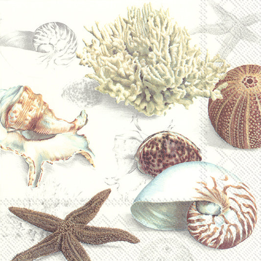 CLAMS AT THE BEACH Cream Shells IHR Paper Lunch Napkins 33 cm sq 3 ply 20 pack